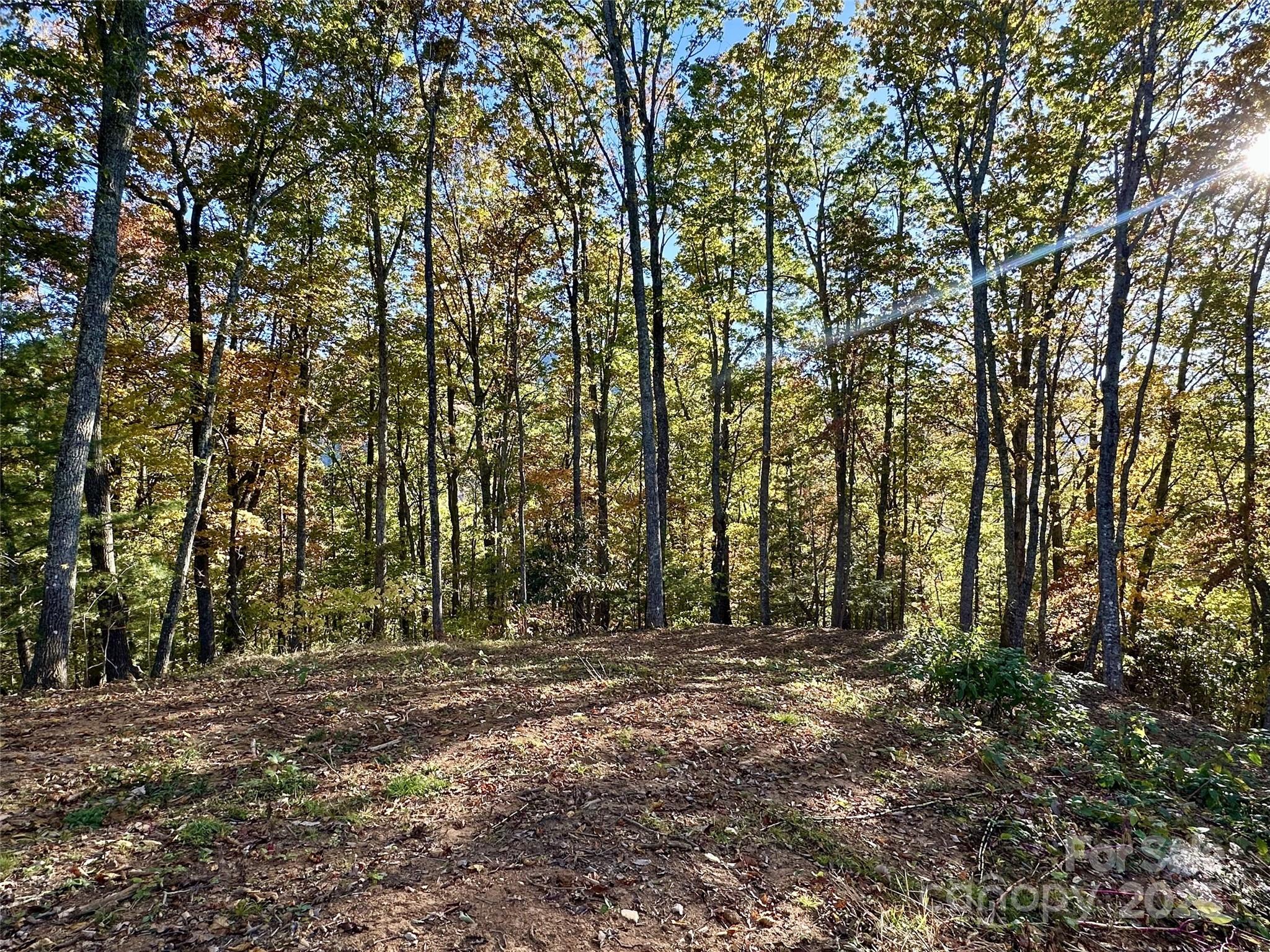534 Cicada Drive Maggie Valley NC 28751