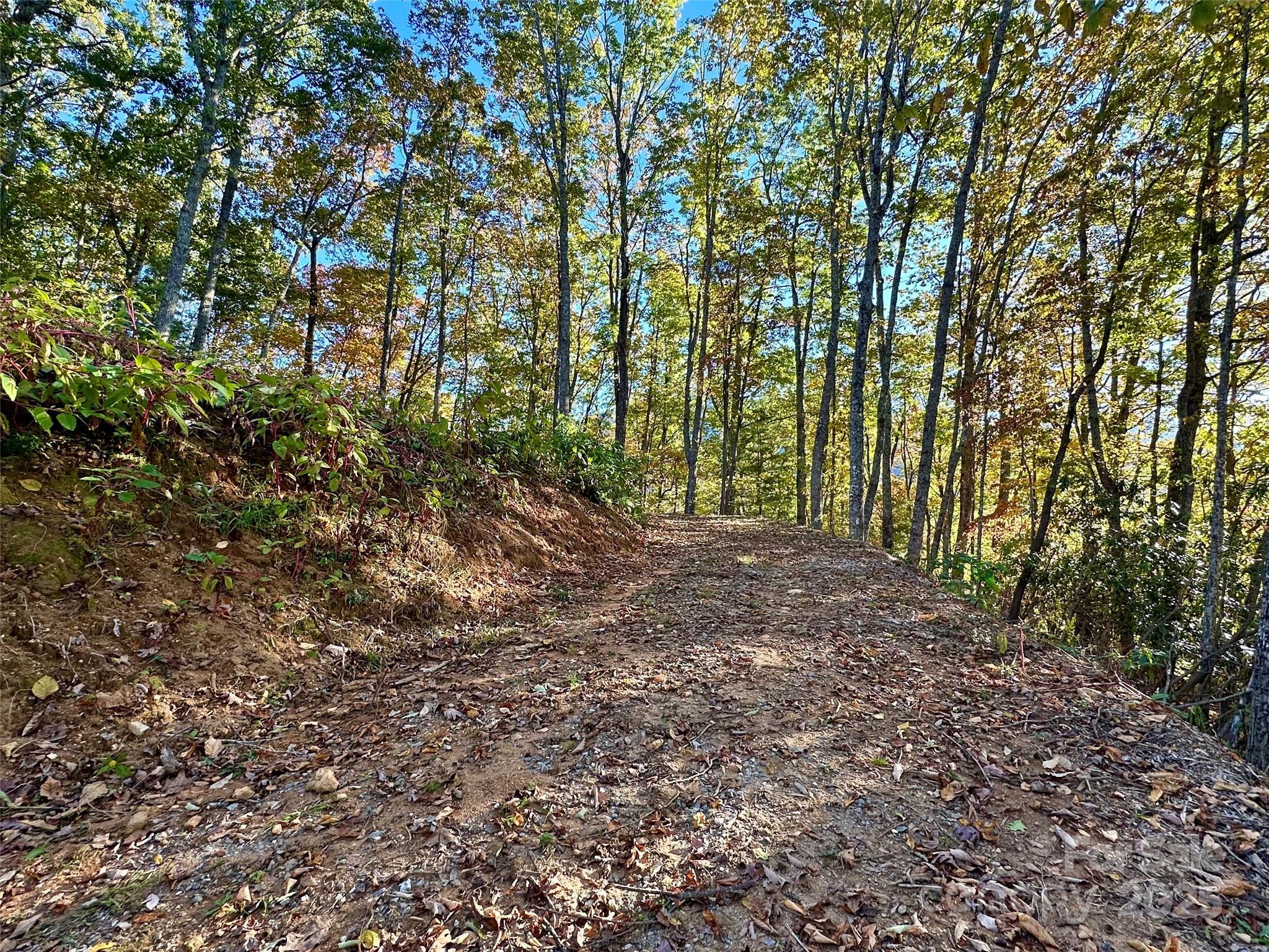534 Cicada Drive Maggie Valley NC 28751