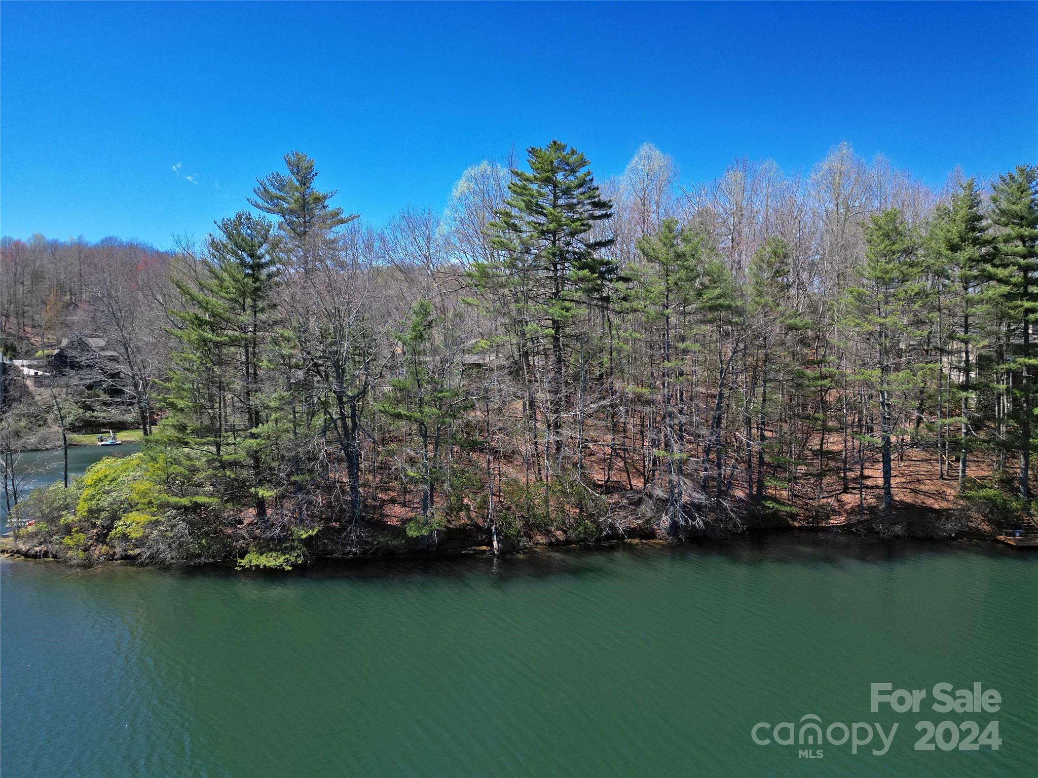 U22 L019 Cheulah Road Brevard NC 28712