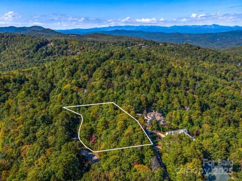 Lot 10 Berry Creek Drive Flat Rock NC 28731