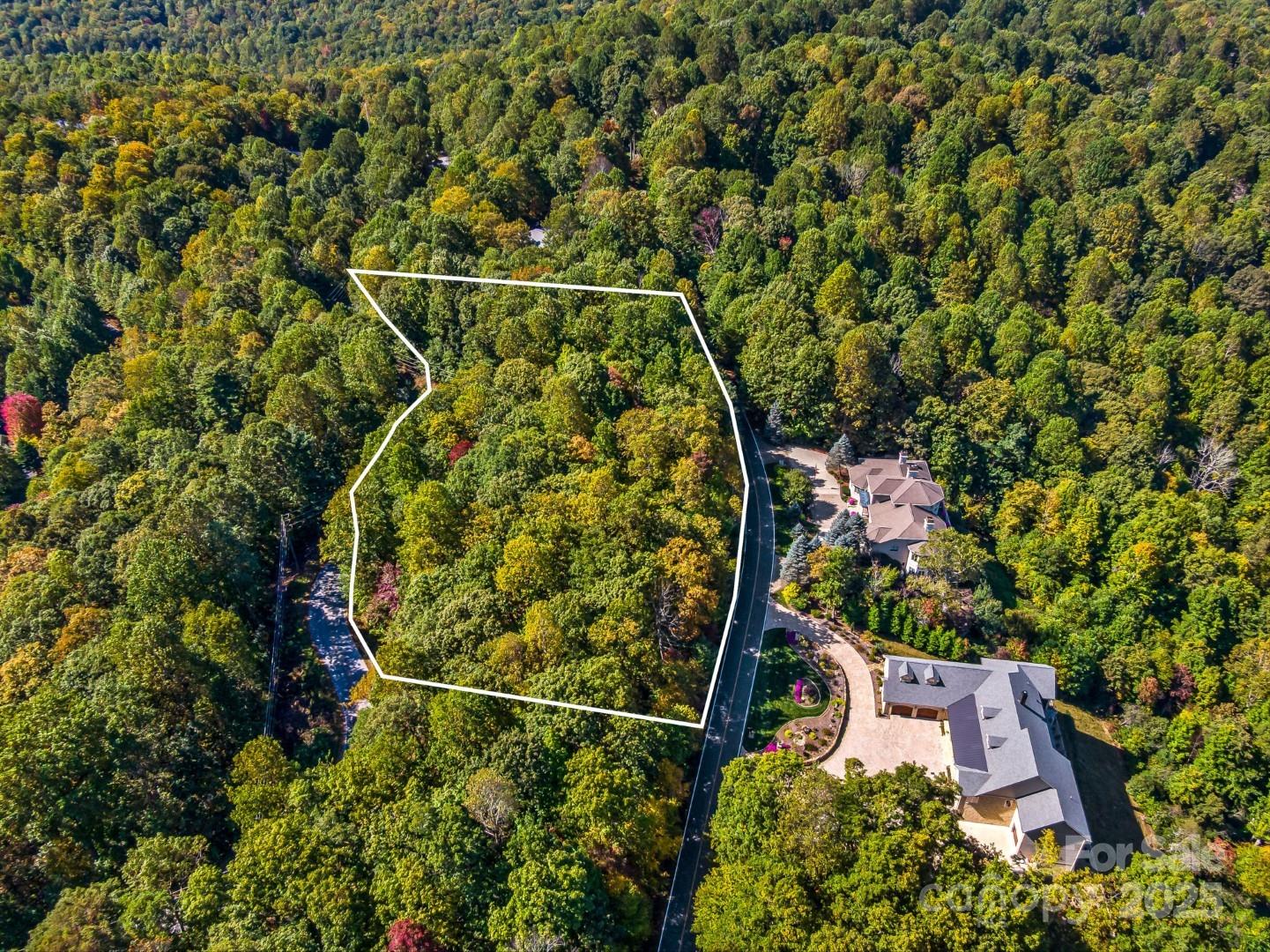 Lot 10 Berry Creek Drive Flat Rock NC 28731