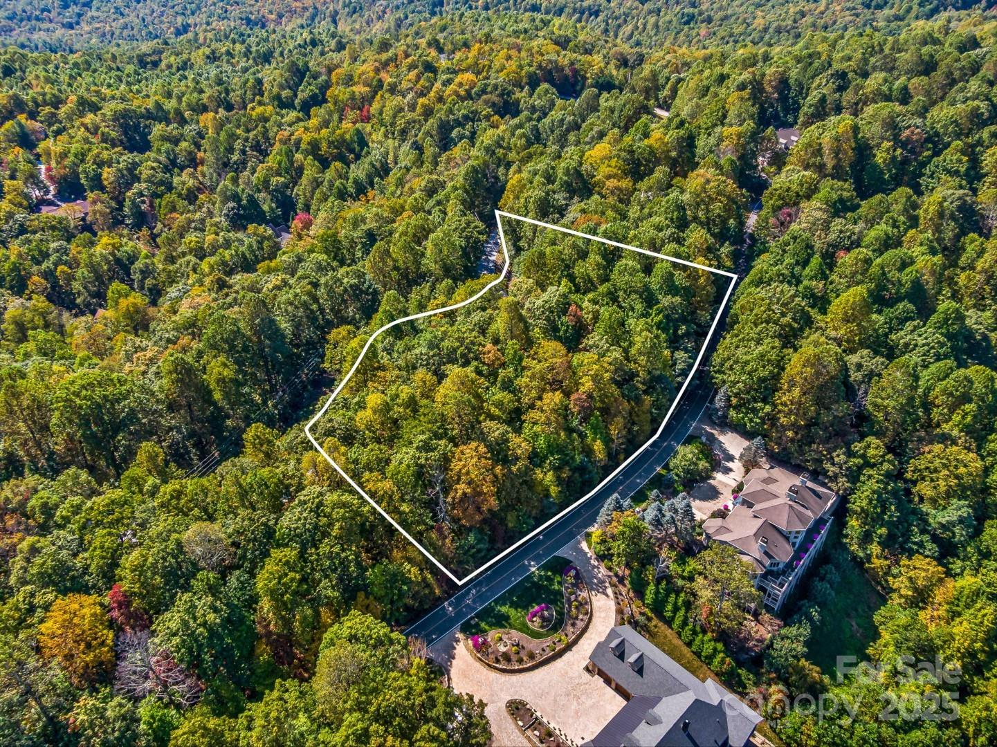 Lot 10 Berry Creek Drive Flat Rock NC 28731