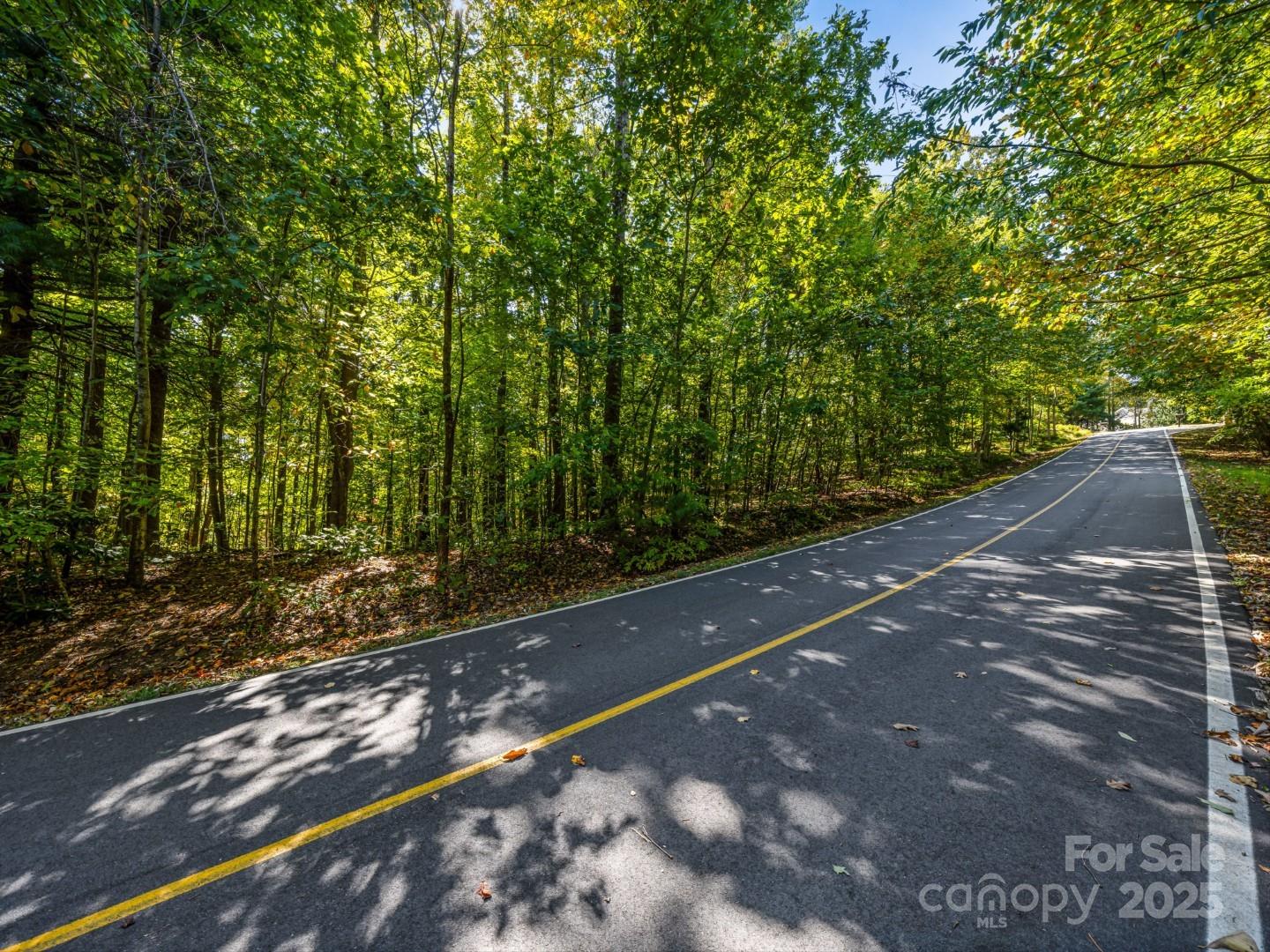Lot 10 Berry Creek Drive Flat Rock NC 28731