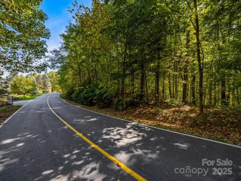Lot 10 Berry Creek Drive Flat Rock NC 28731