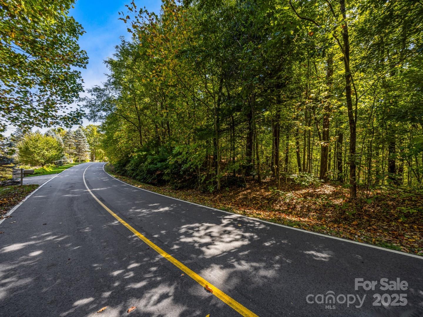 Lot 10 Berry Creek Drive Flat Rock NC 28731