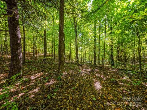 Lot 10 Berry Creek Drive Flat Rock NC 28731