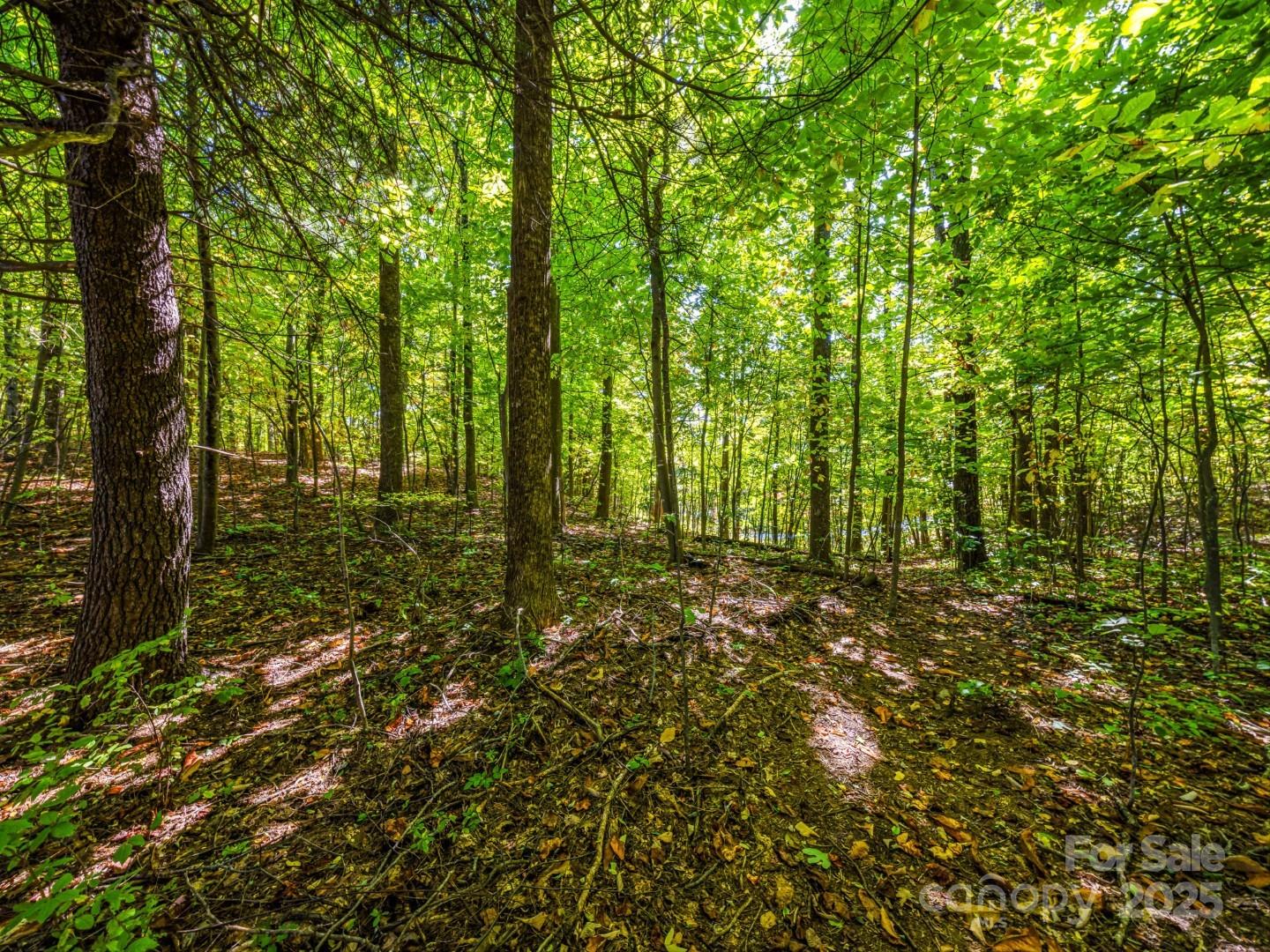 Lot 10 Berry Creek Drive Flat Rock NC 28731
