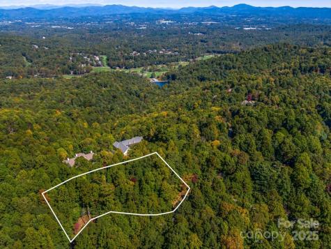 Lot 10 Berry Creek Drive Flat Rock NC 28731
