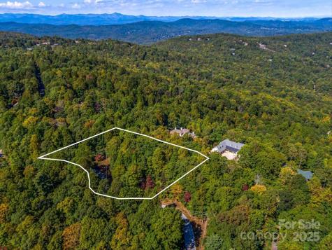Lot 10 Berry Creek Drive Flat Rock NC 28731