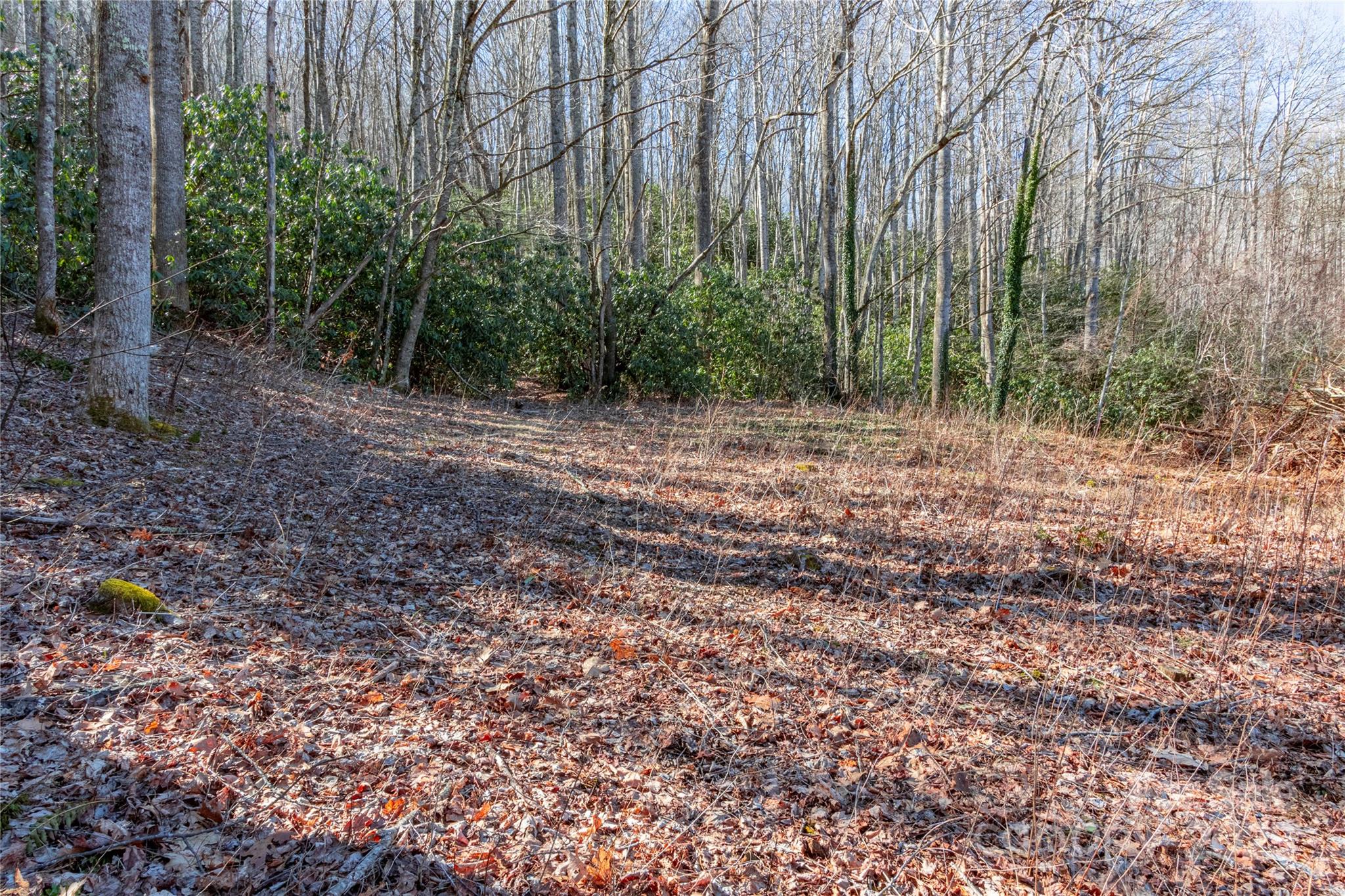 0 Landis Lane Burnsville NC 28714