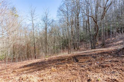 0 Landis Lane Burnsville NC 28714