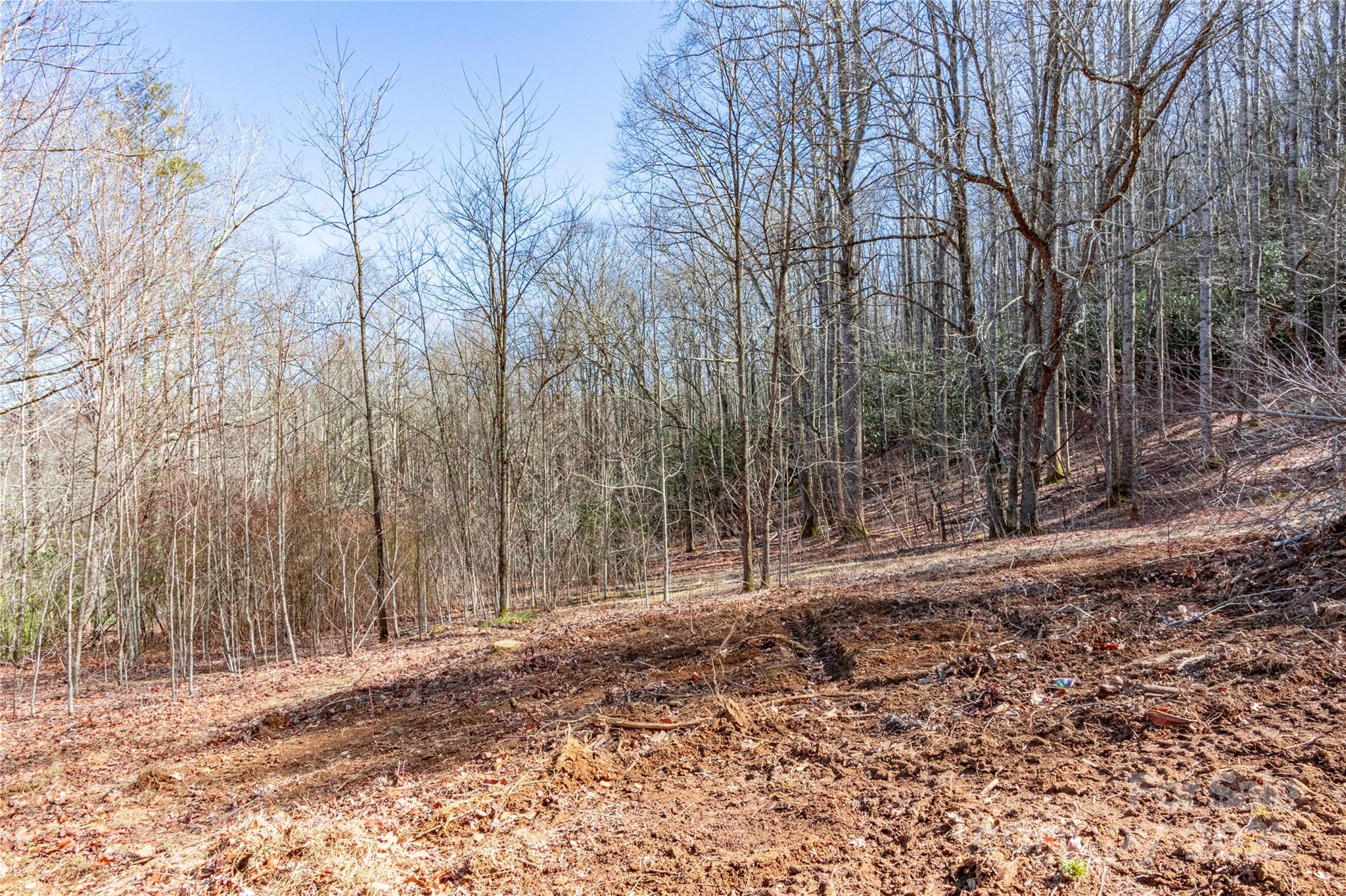 0 Landis Lane Burnsville NC 28714