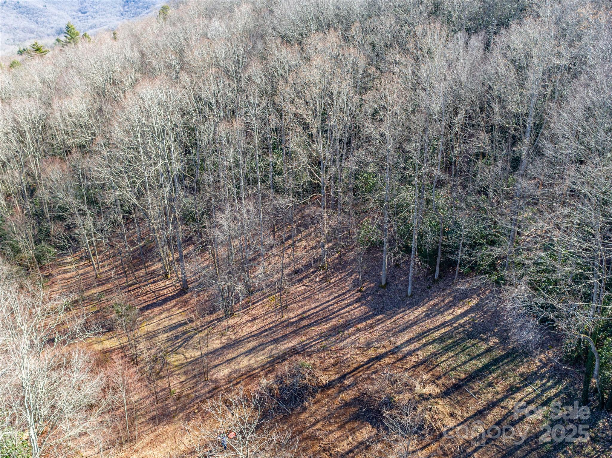 0 Landis Lane Burnsville NC 28714