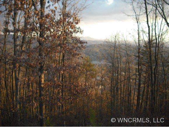 18 Lake Town Lane Asheville NC 28804