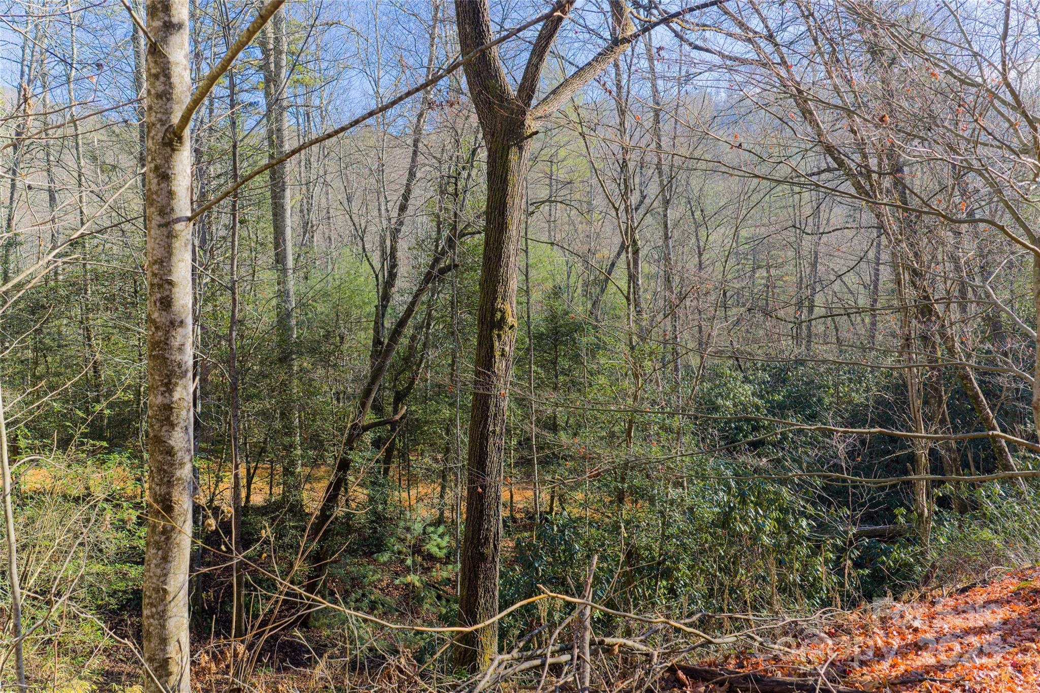649 Old Nc 280 Highway Pisgah Forest NC 28768