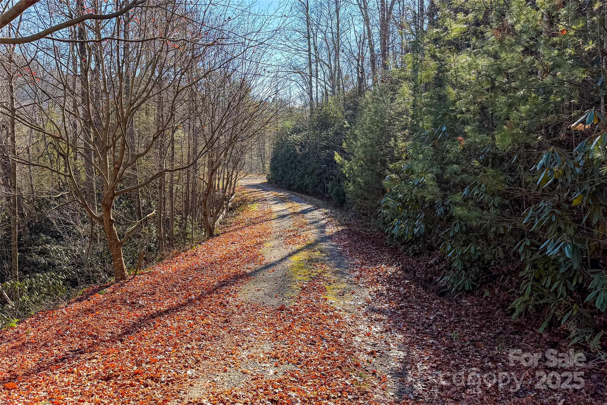 649 Old Nc 280 Highway Pisgah Forest NC 28768