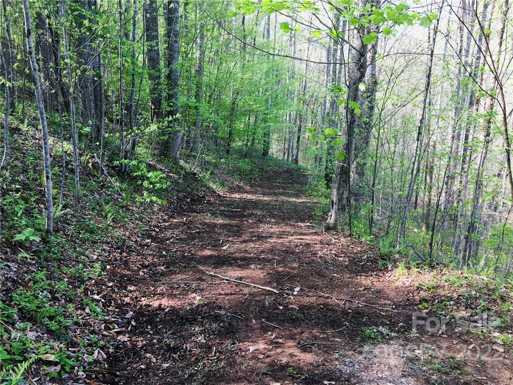 99 Fern Hill Drive Mars Hill NC 28754