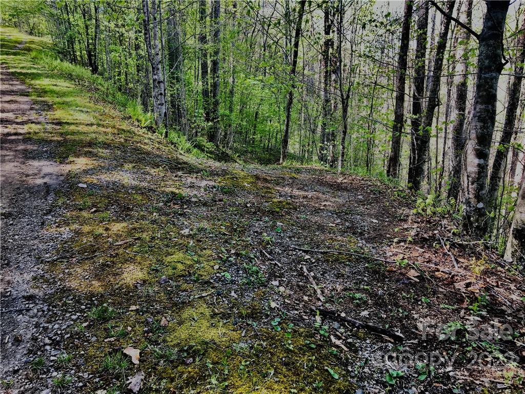 99 Fern Hill Drive Mars Hill NC 28754