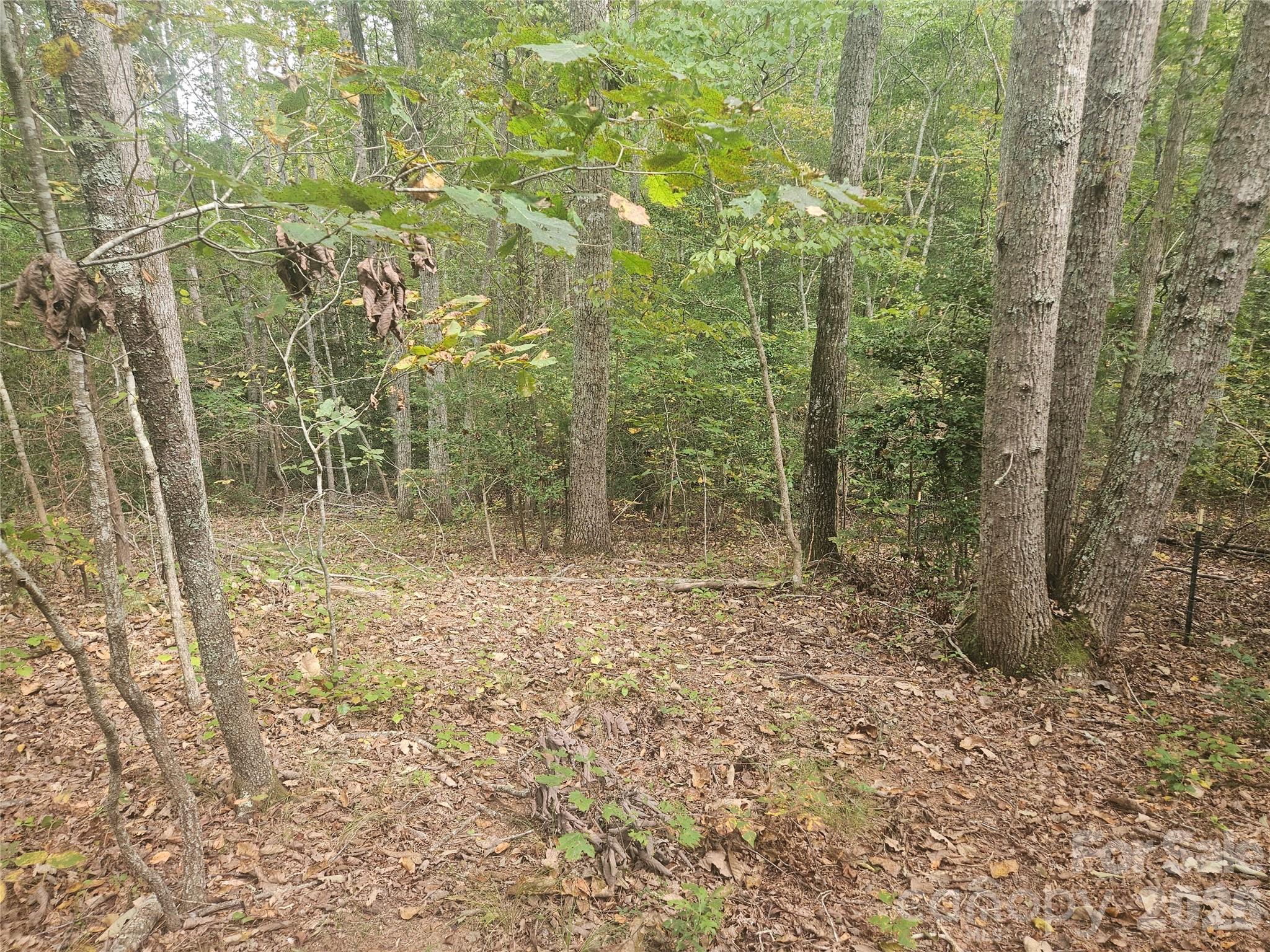 158 Dusty Hollow Bostic NC 28018