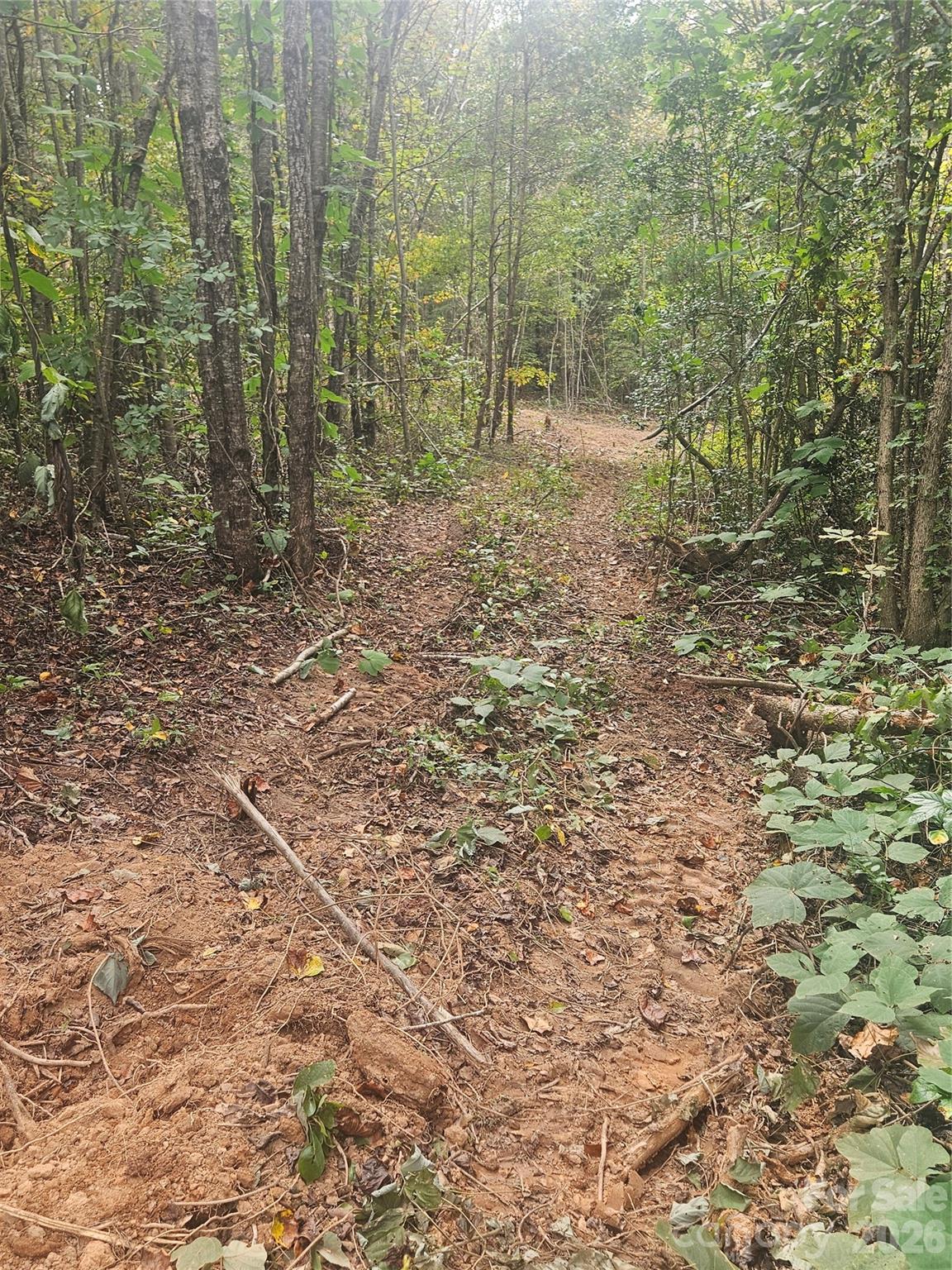 158 Dusty Hollow Bostic NC 28018