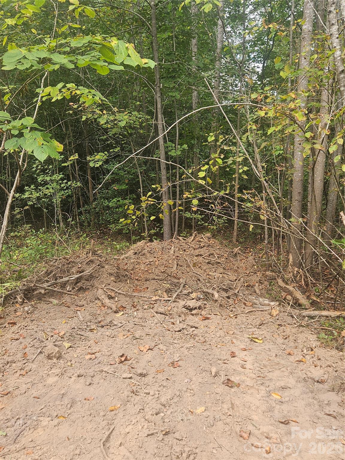 158 Dusty Hollow Bostic NC 28018