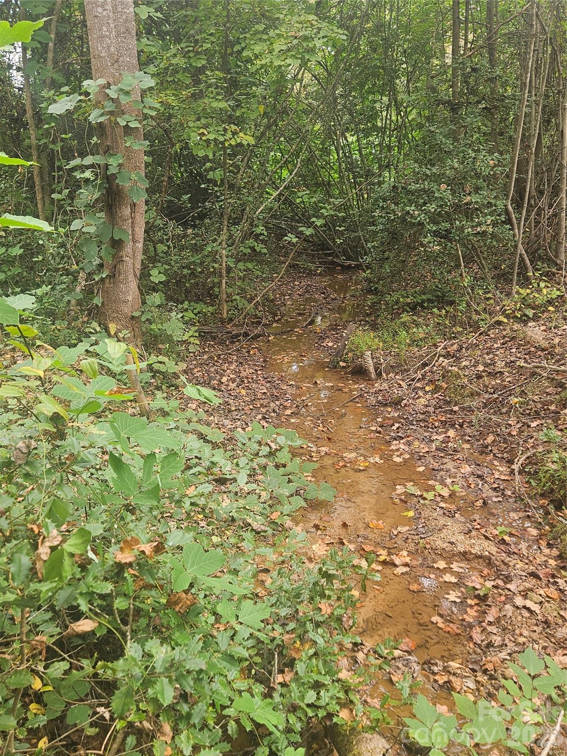 158 Dusty Hollow Bostic NC 28018