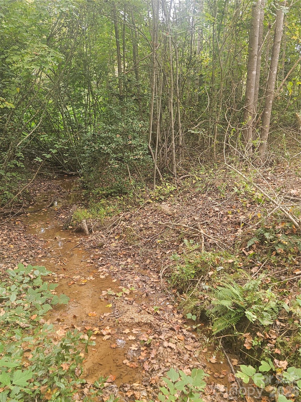 158 Dusty Hollow Bostic NC 28018