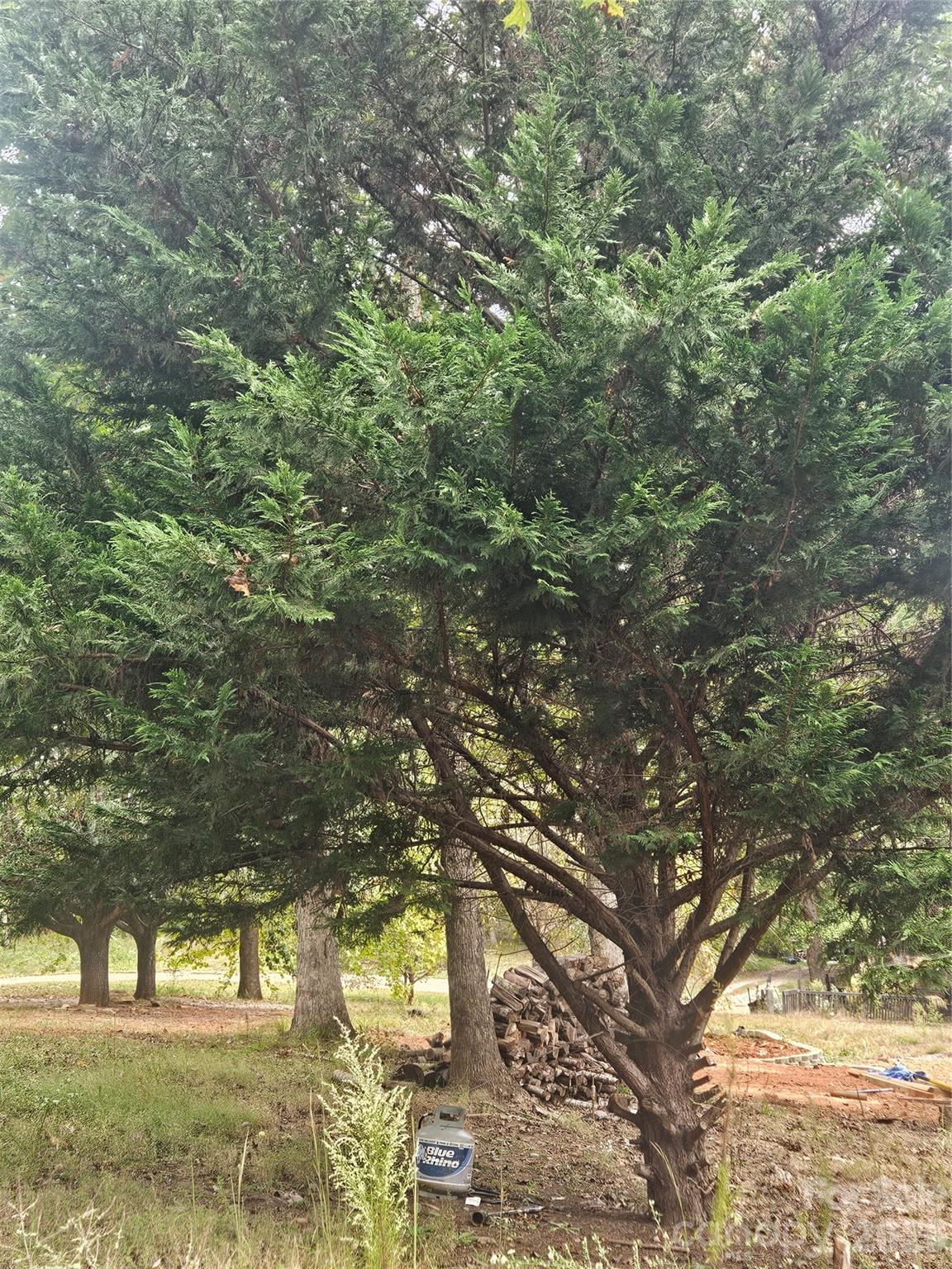 158 Dusty Hollow Bostic NC 28018