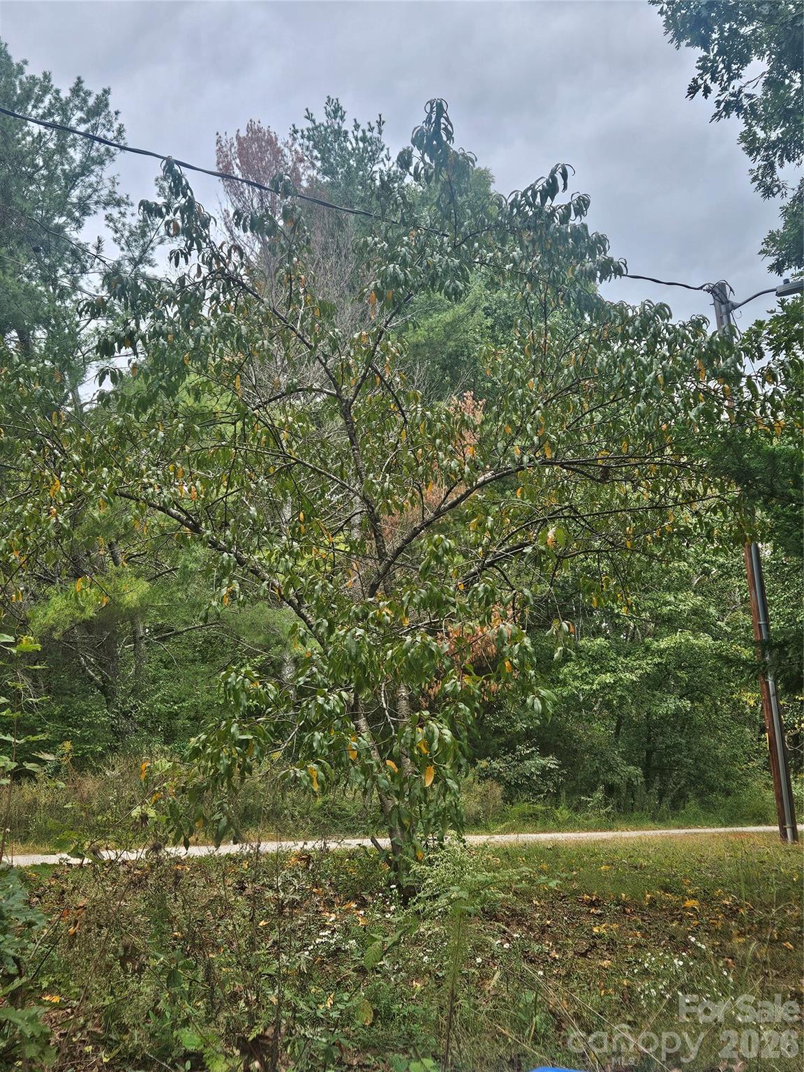 158 Dusty Hollow Bostic NC 28018