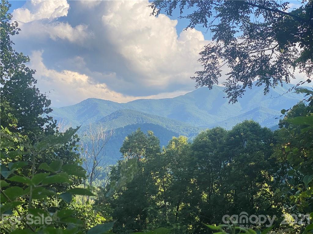 80 Holly Ridge Road Candler NC 28715