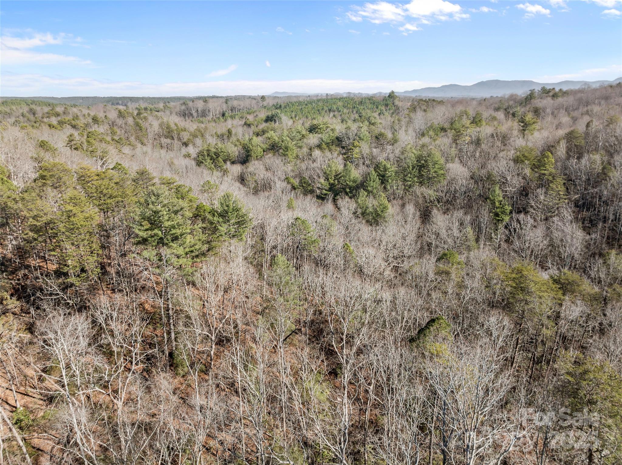 0 Darrow Drive Nebo NC 28761