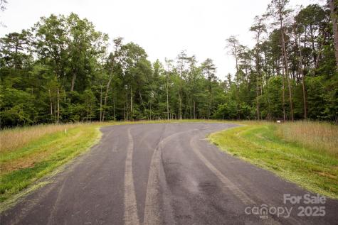 Lot 36 Snow Goose Walk Court Clover SC 29710