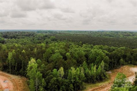 Lot 36 Snow Goose Walk Court Clover SC 29710