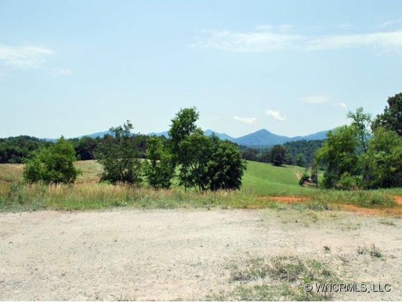 34 Alaskan Drive Leicester NC 28748