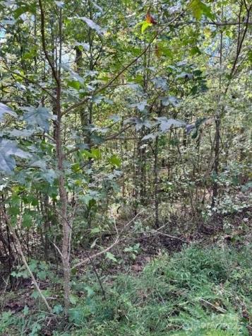 V/l Ridge Point Road Nebo NC 28761