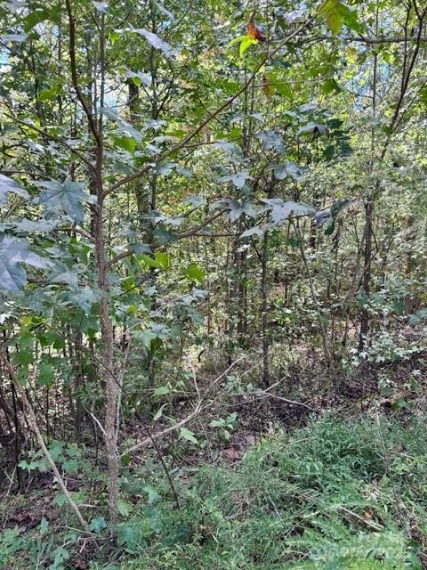 V/l Ridge Point Road Nebo NC 28761