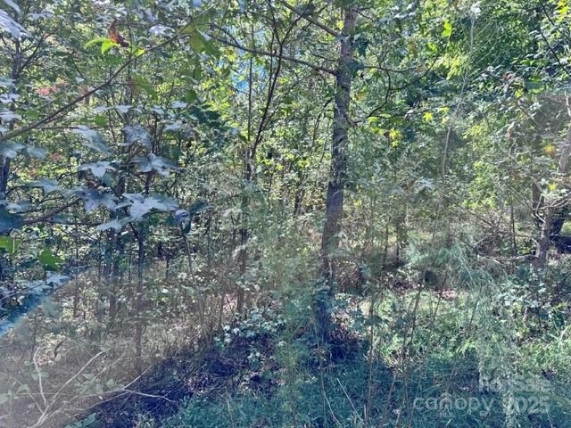 V/l Ridge Point Road Nebo NC 28761