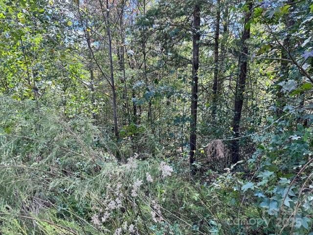 V/l Ridge Point Road Nebo NC 28761