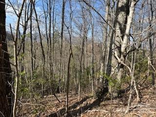 00 Buckeye Drive Waynesville NC 28786