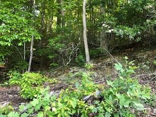 00 Buckeye Drive Waynesville NC 28786