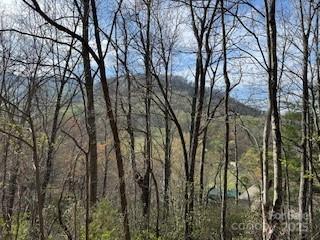 00 Buckeye Drive Waynesville NC 28786