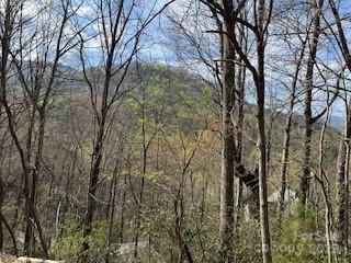 00 Buckeye Drive Waynesville NC 28786