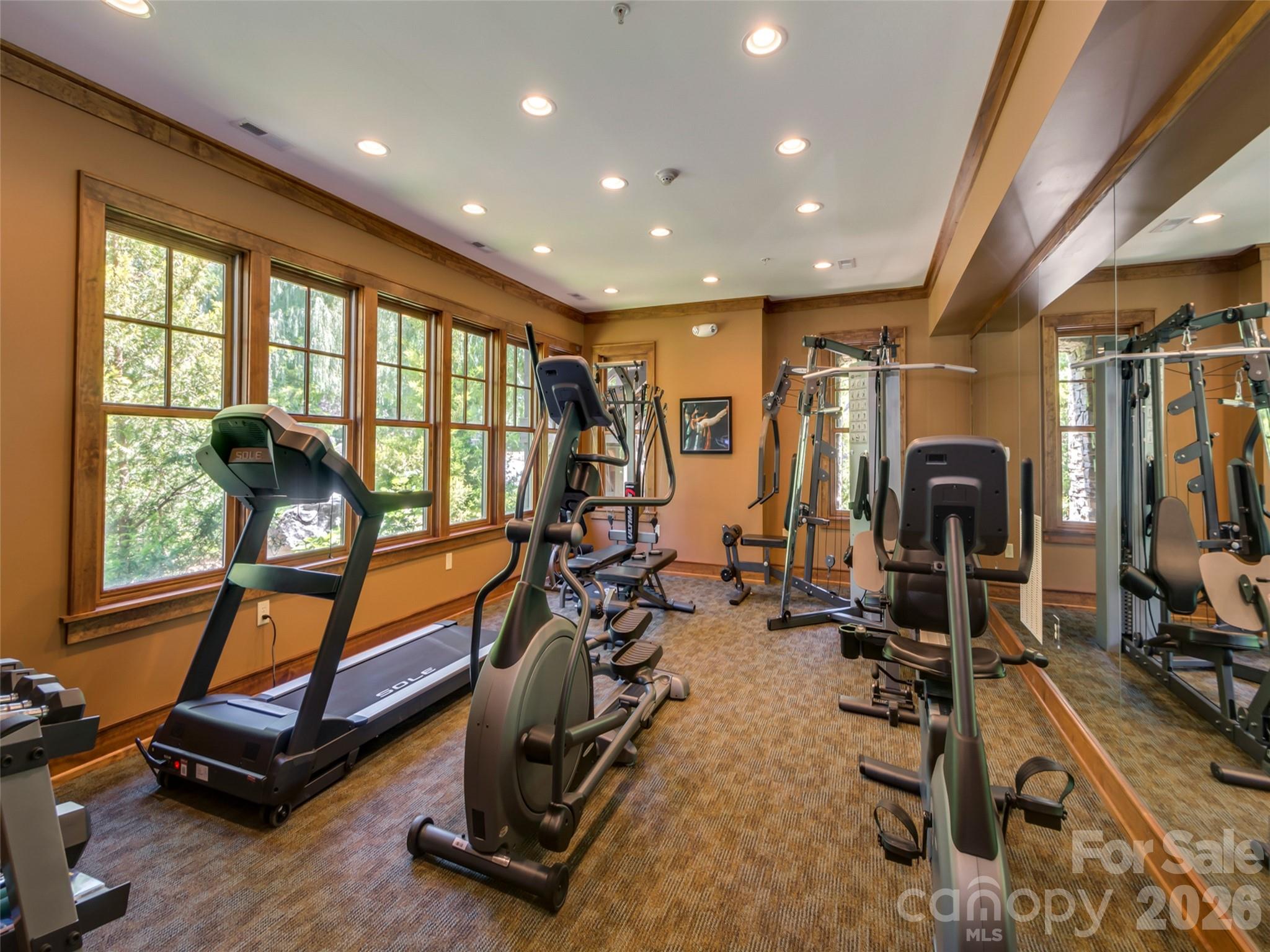 0 Firefly Cove Lake Lure NC 28746