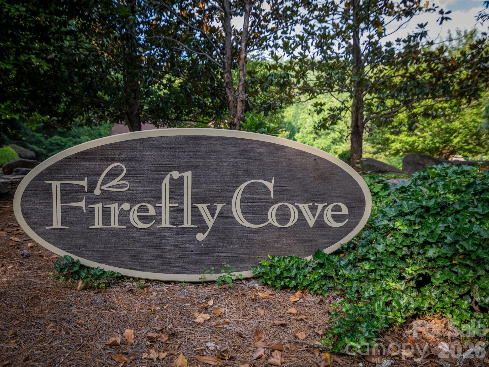 0 Firefly Cove Lake Lure NC 28746