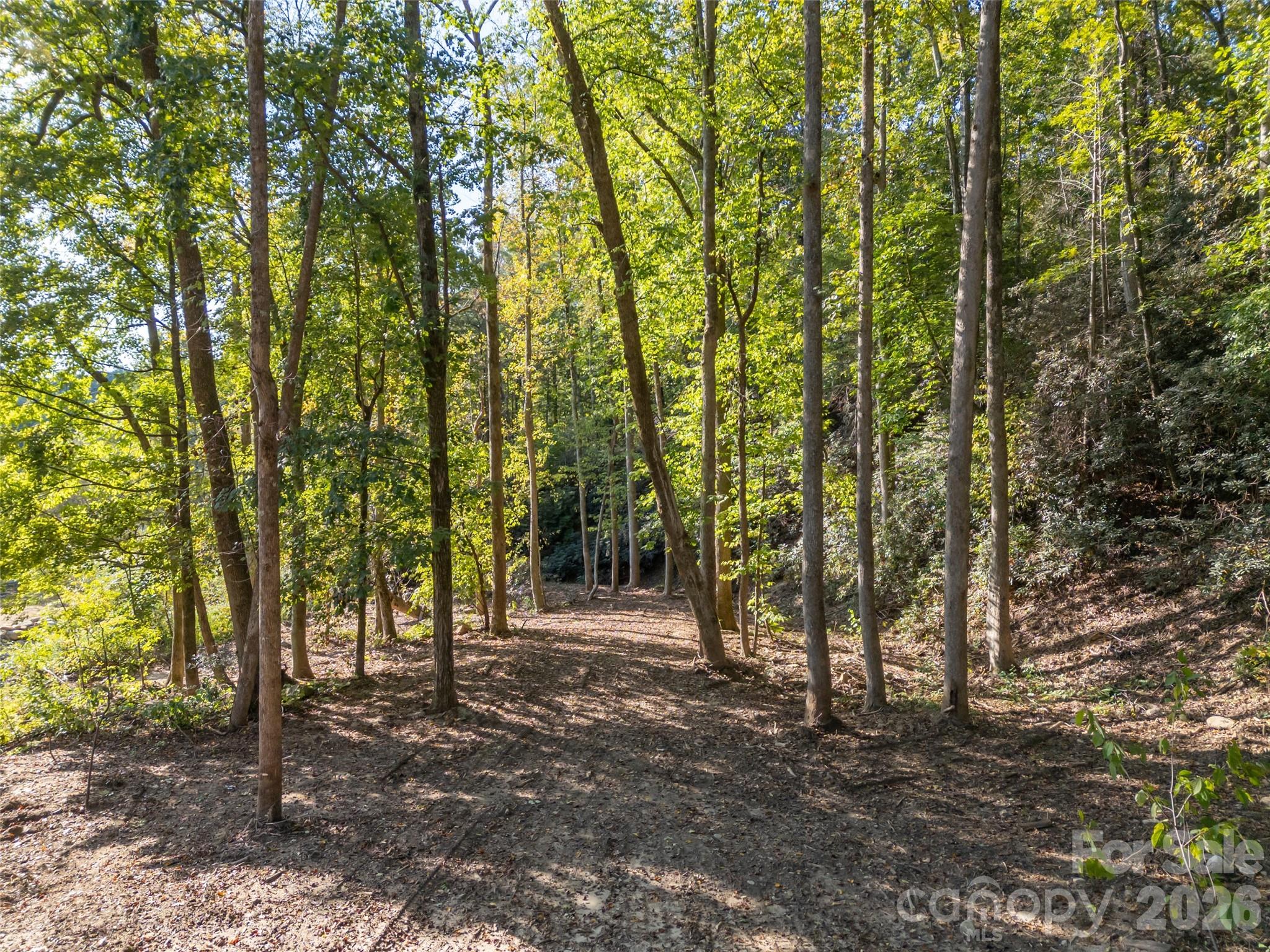 0 Firefly Cove Lake Lure NC 28746