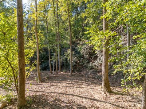 0 Firefly Cove Lake Lure NC 28746