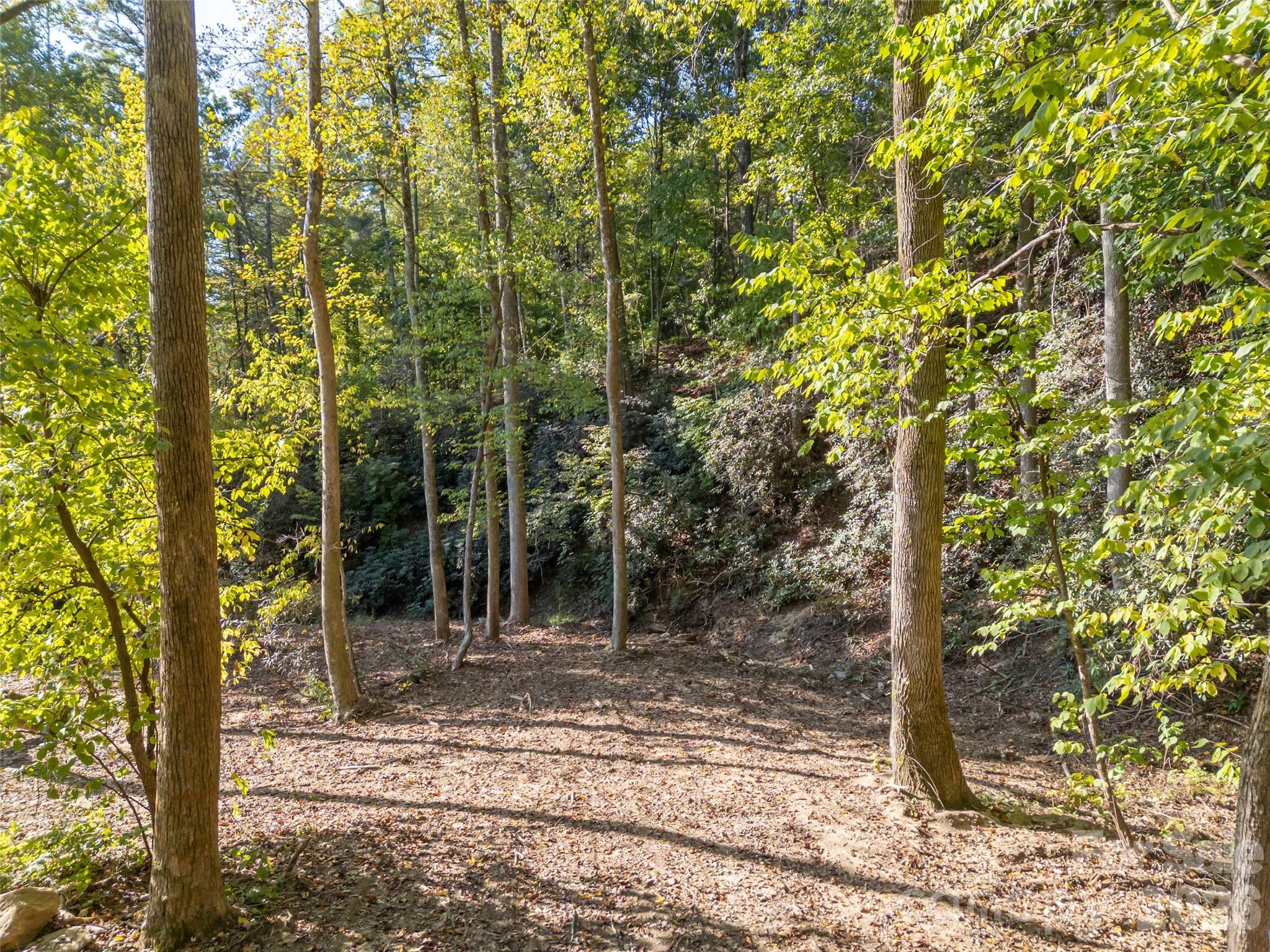 0 Firefly Cove Lake Lure NC 28746
