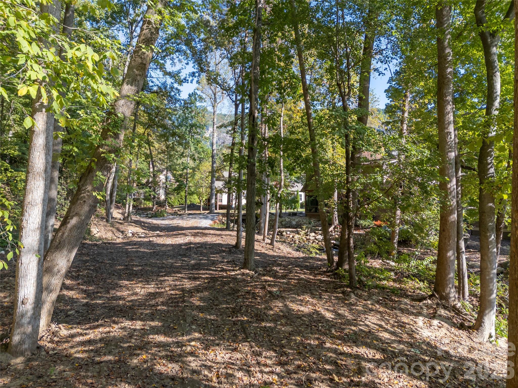 0 Firefly Cove Lake Lure NC 28746
