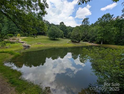 115 Ivywood Lane Laurel Park NC 28739