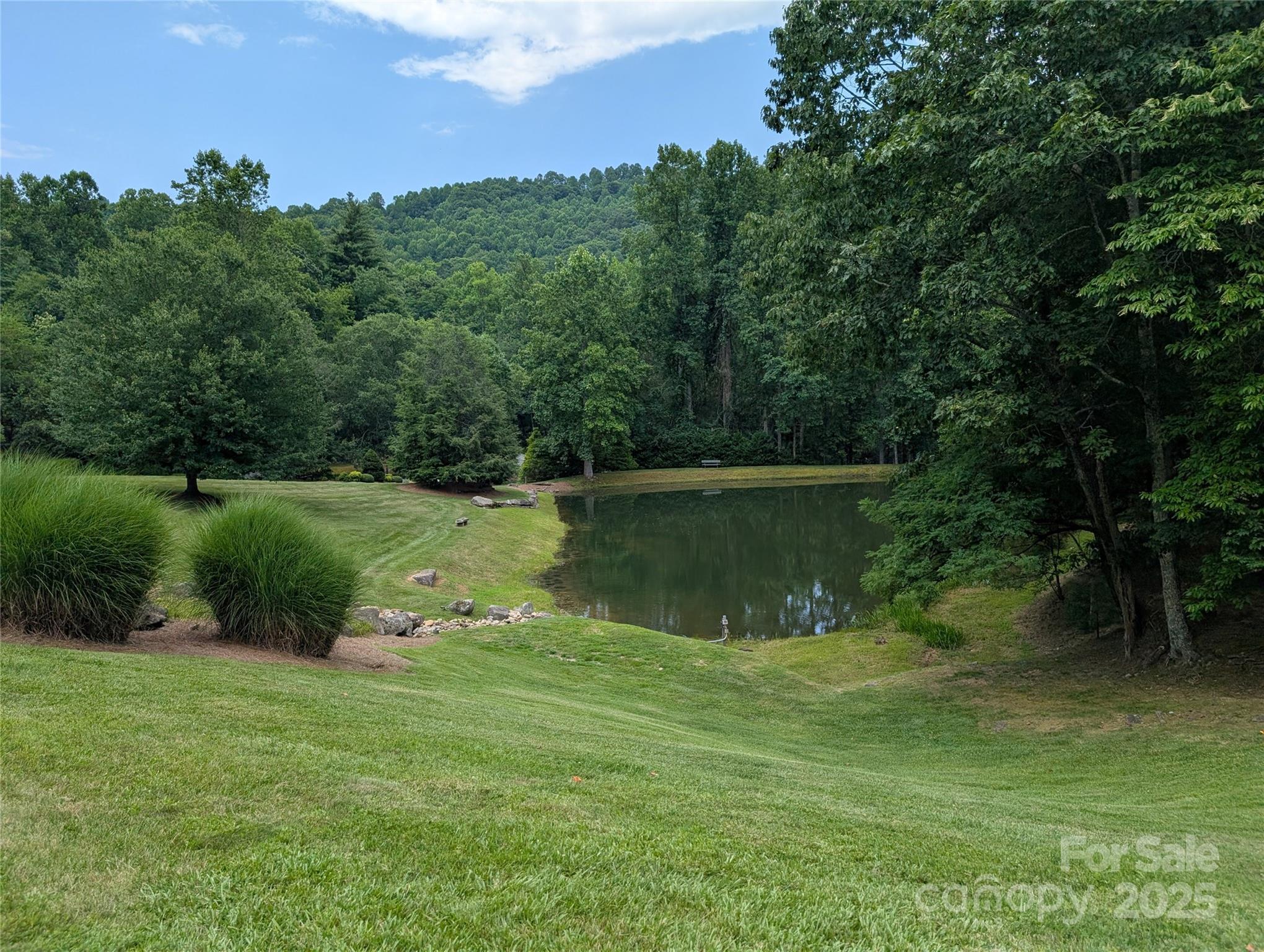 115 Ivywood Lane Laurel Park NC 28739
